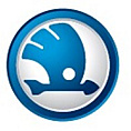 Skoda Group